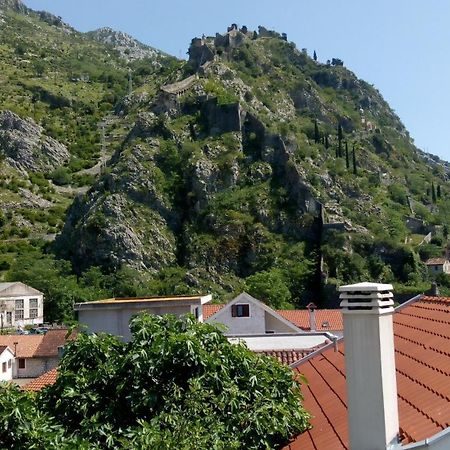 Tea Daire Kotor Dış mekan fotoğraf