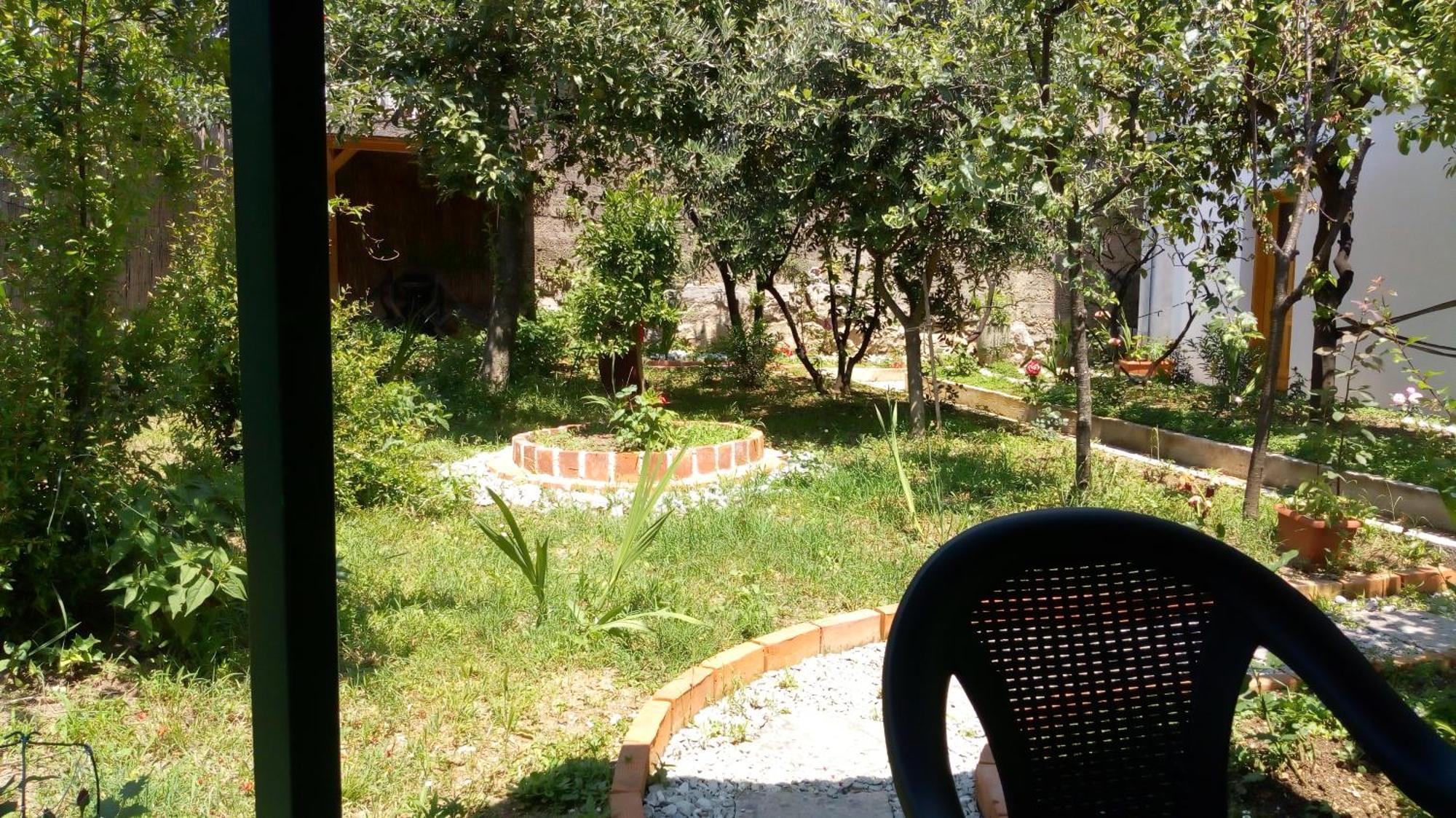 Tea Daire Kotor Dış mekan fotoğraf