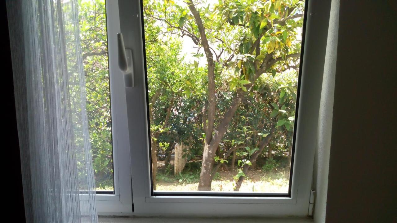 Tea Daire Kotor Dış mekan fotoğraf