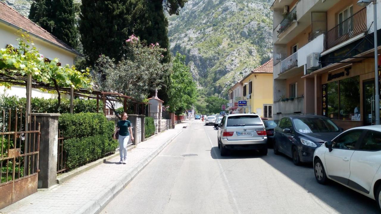 Tea Daire Kotor Dış mekan fotoğraf