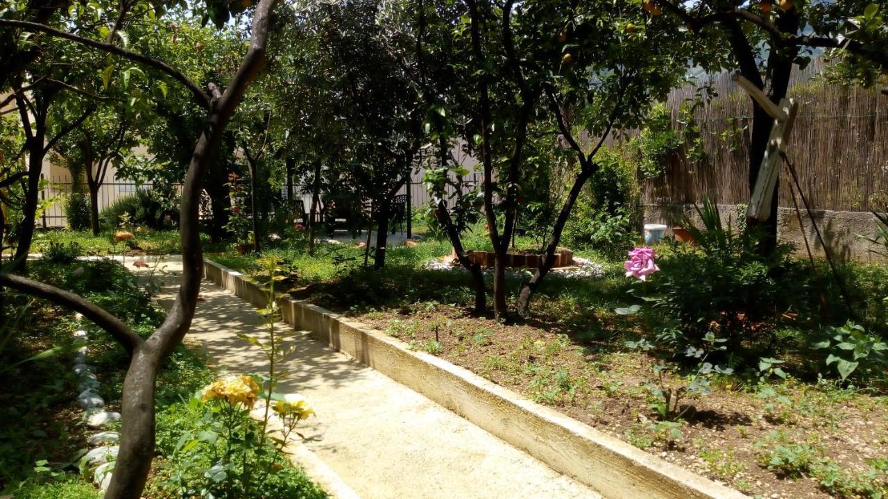 Tea Daire Kotor Dış mekan fotoğraf