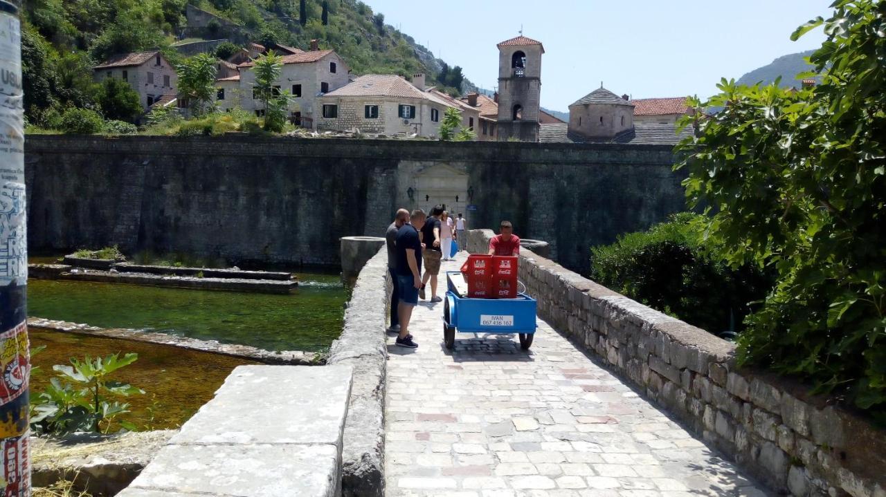 Tea Daire Kotor Dış mekan fotoğraf