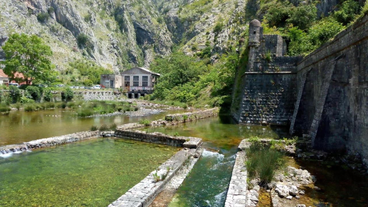 Tea Daire Kotor Dış mekan fotoğraf