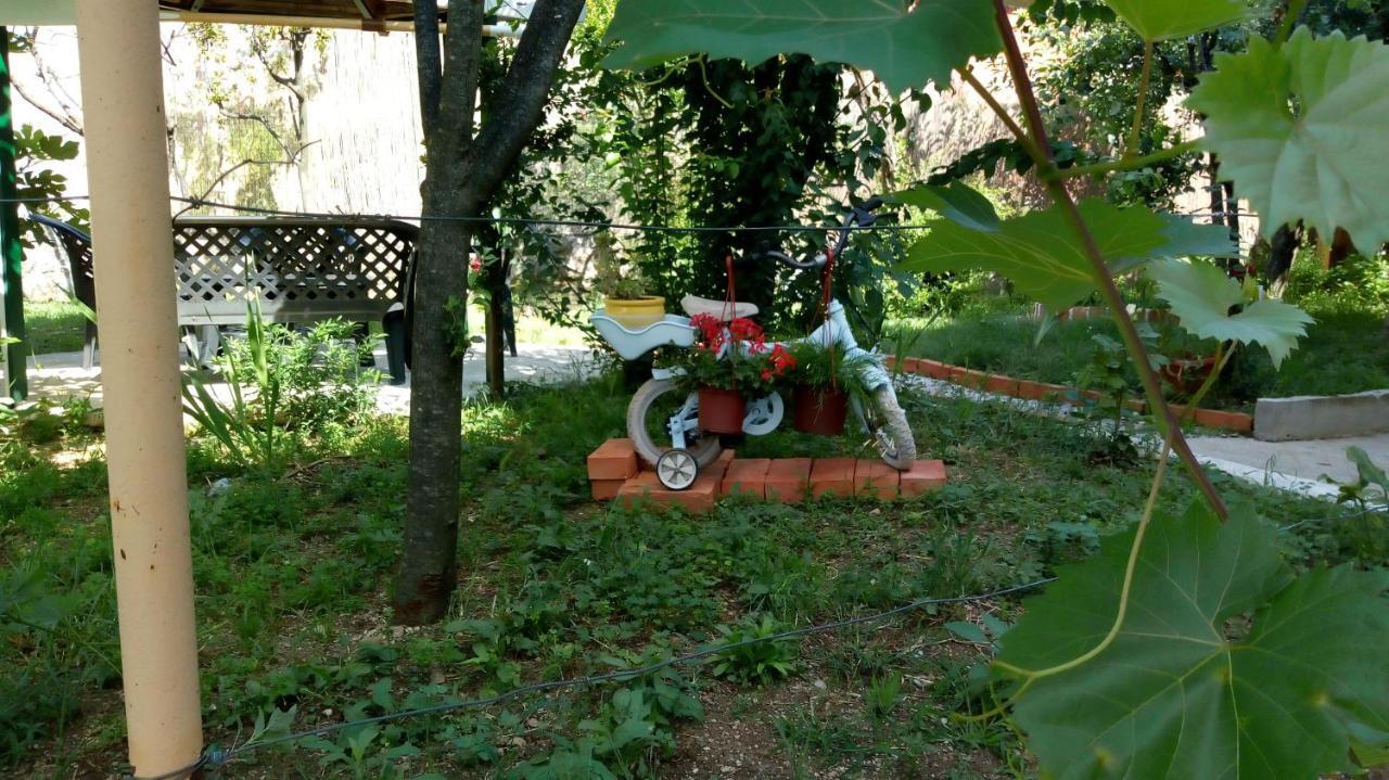 Tea Daire Kotor Dış mekan fotoğraf