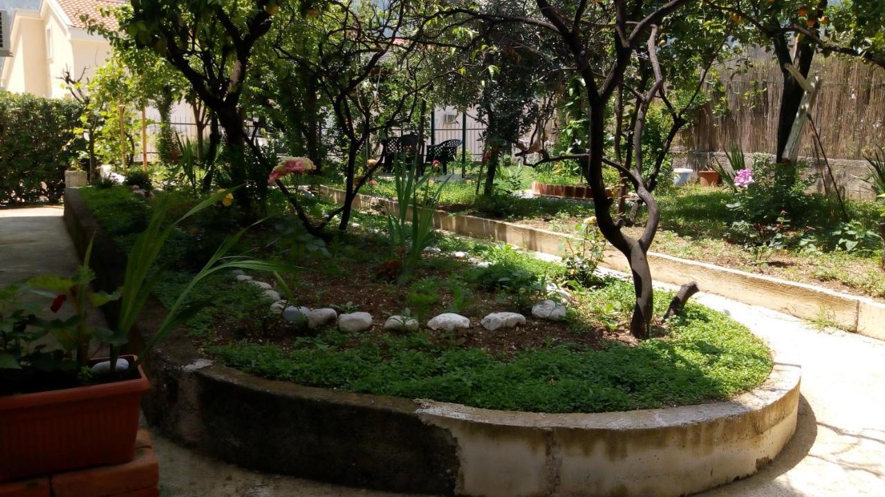 Tea Daire Kotor Dış mekan fotoğraf