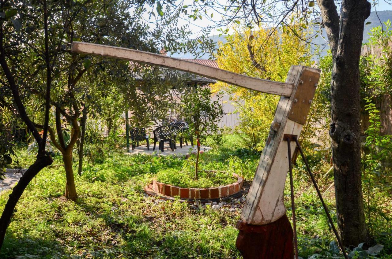 Tea Daire Kotor Dış mekan fotoğraf